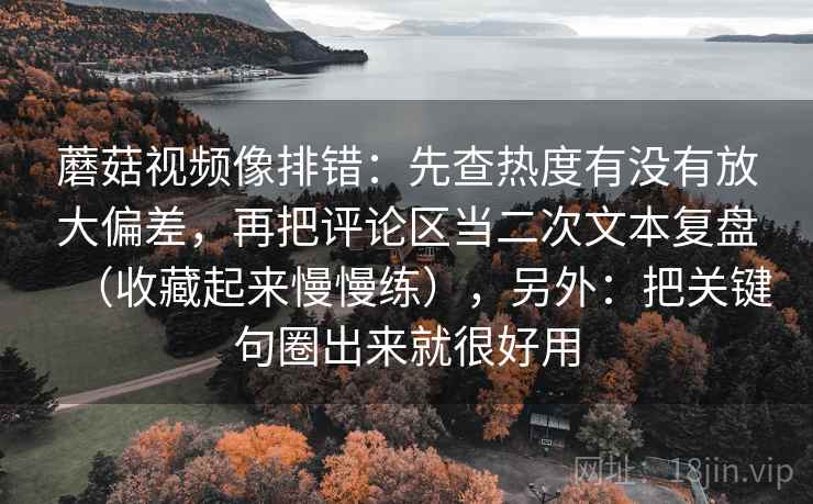 蘑菇视频页边批注：这里结尾是不是强行收束没落地，所以先把例子标成例子（像把线头捋顺）